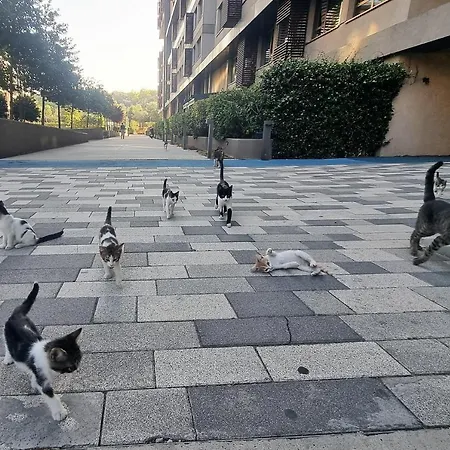 شقة Inistanbul *